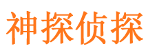 凤凰调查事务所